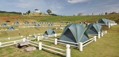 Horseshoe Idea Camping