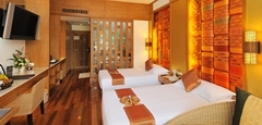 The Paradise Wing  Deluxe room