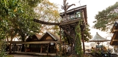 Tree House