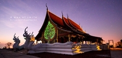 Unseen Thailand ต้นกัลปพฤกษ์เรืองแสง วัดสิรินธรวรารามภูพร้าว จังหวัดอุบลราชธานี