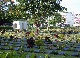 Kanchanaburi War Cemetery Kanchanaburi