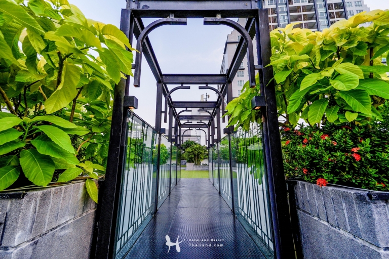 Rainforest Rooftop Bar Movenpick Hotel Sukhumvit15